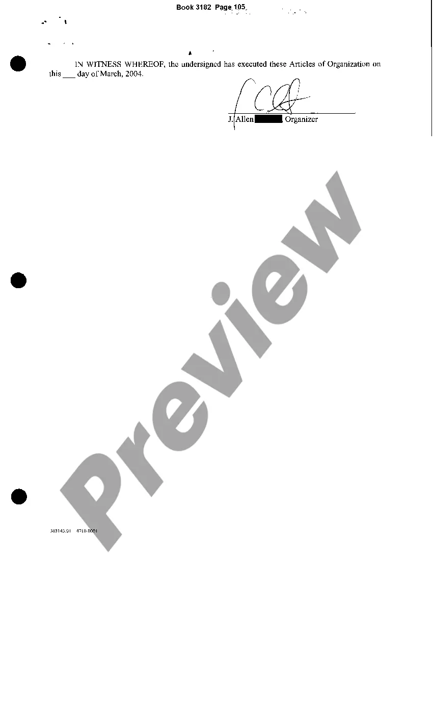 Preview Articles of Organization LLC
