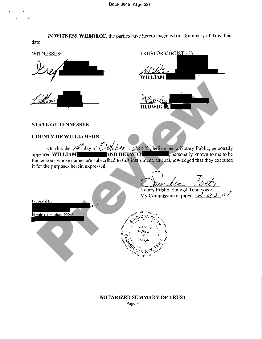 Preview Notarized Summary of Trust