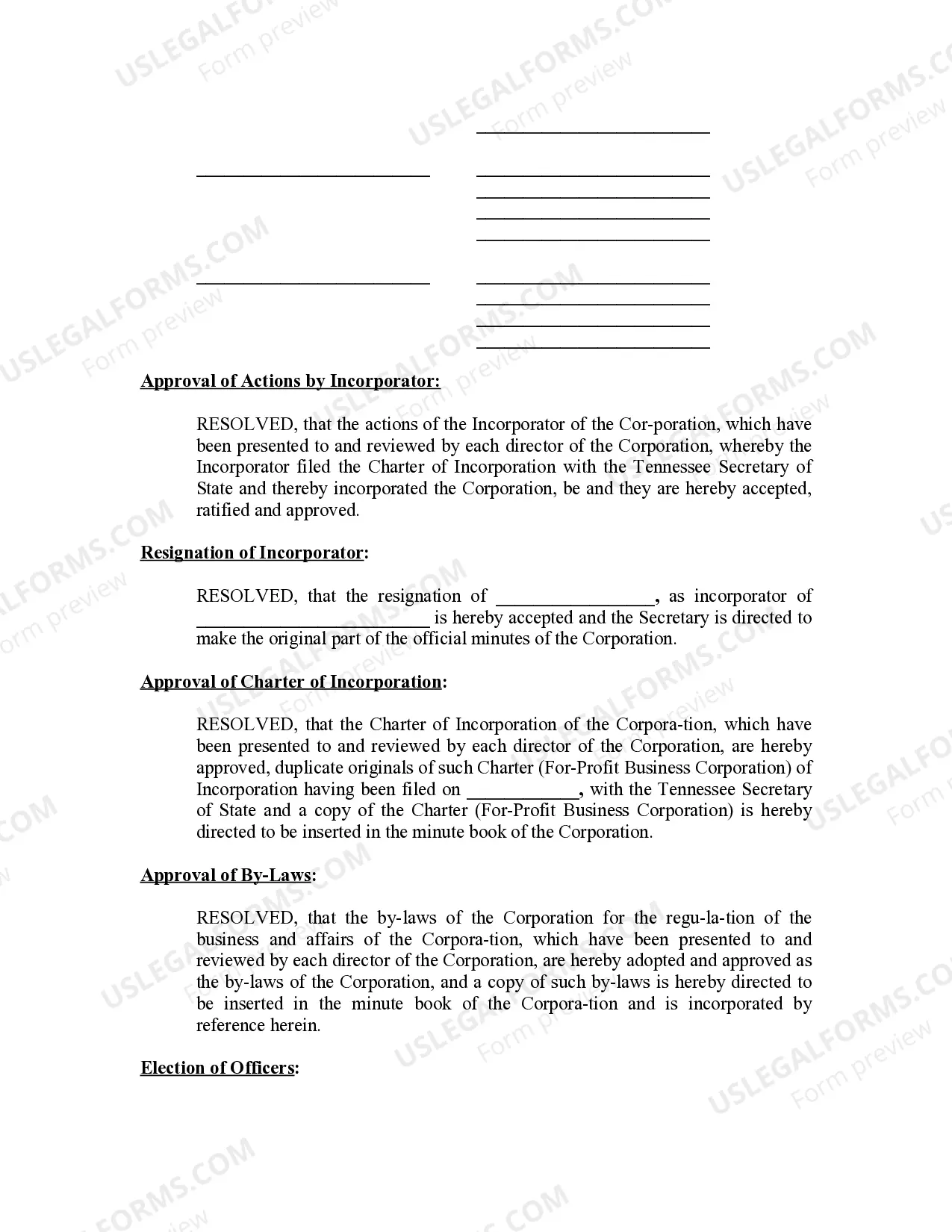 Preview Minutes for Organizational Meeting