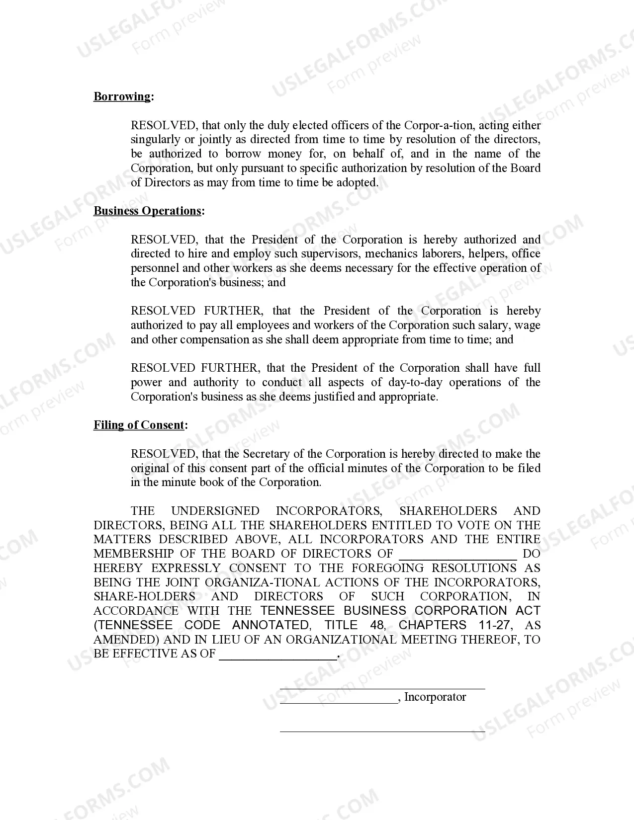 Preview Minutes for Organizational Meeting