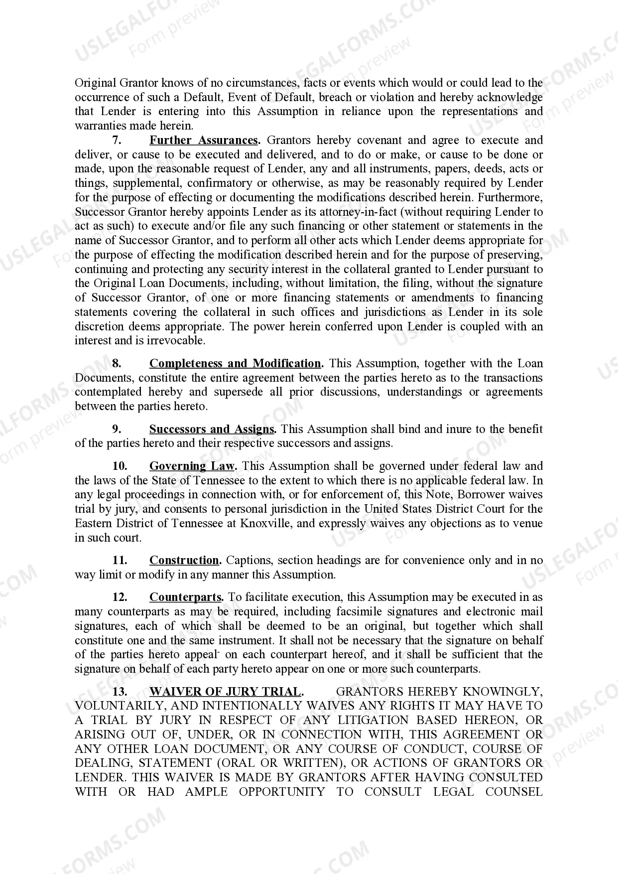 Preview Assumption of Certain Loan Documents