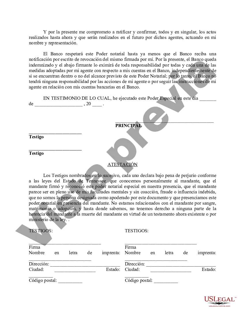 Preview Poder especial duradero para asuntos de cuentas bancarias