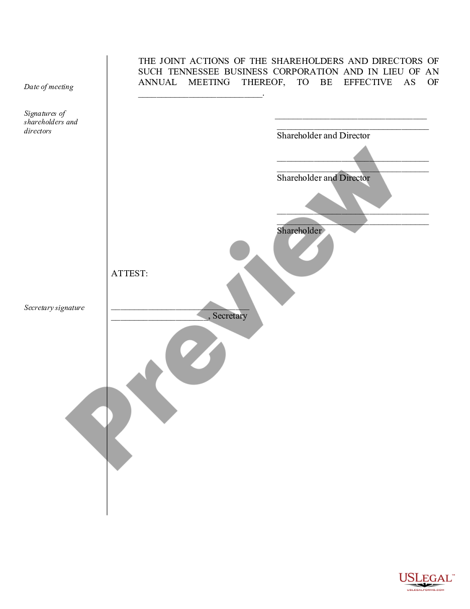 page 3 Annual Minutes for a Tennessee Professional Corporation preview