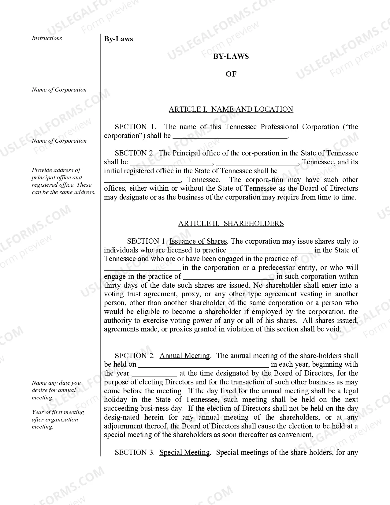Preview Sample Bylaws for a Tennessee Professional Corporation