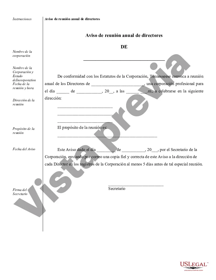 Preview Ejemplos de registros corporativos para una corporación profesional de Tennessee