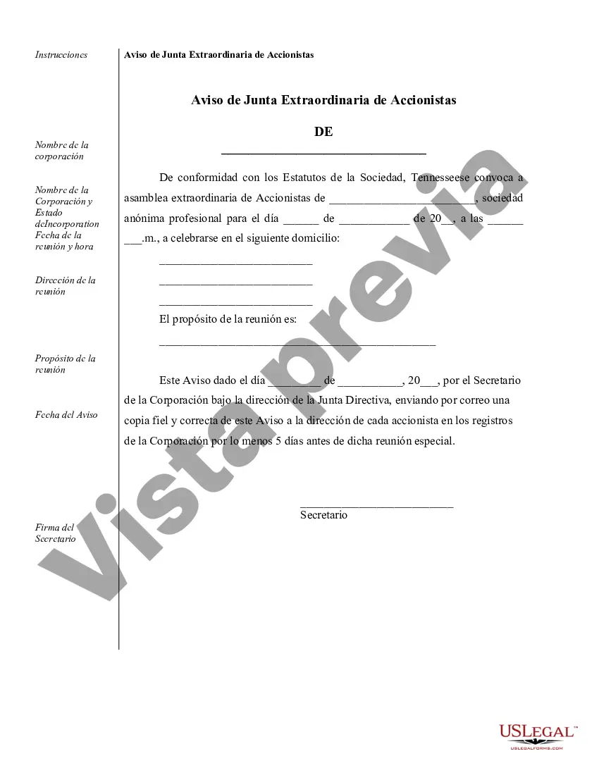 Preview Ejemplos de registros corporativos para una corporación profesional de Tennessee