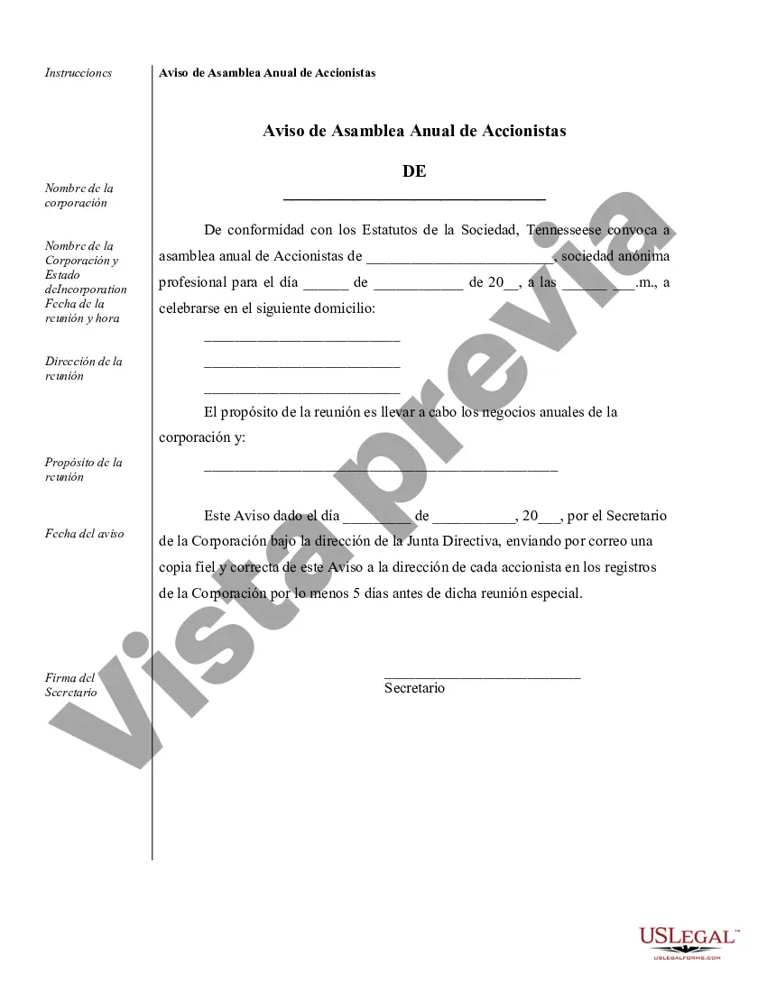 Preview Ejemplos de registros corporativos para una corporación profesional de Tennessee
