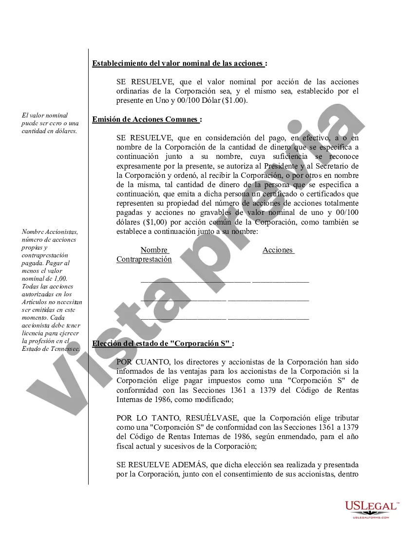 Preview Actas de organización para una corporación profesional de Tennessee