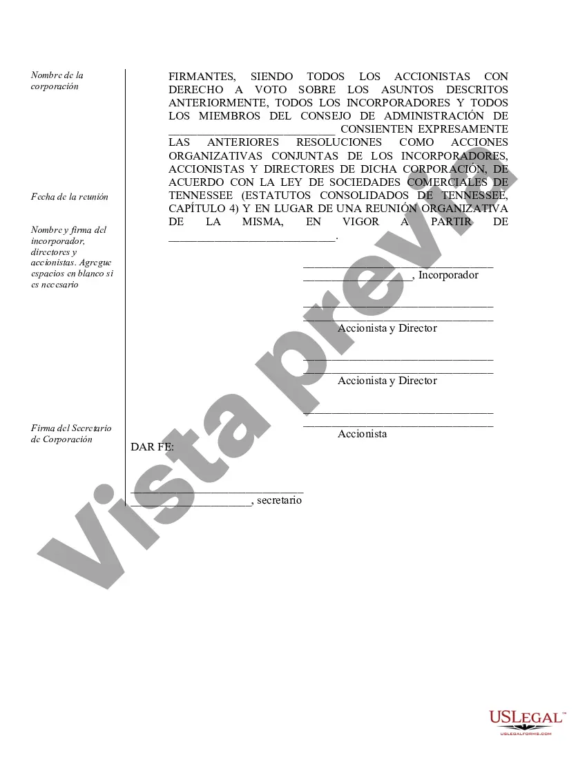 Preview Actas de organización para una corporación profesional de Tennessee