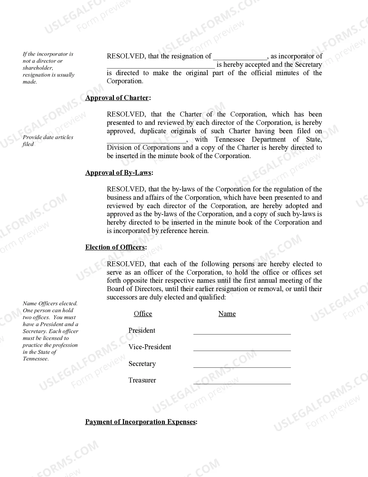 Preview Organizational Minutes for a Tennessee Professional Corporation