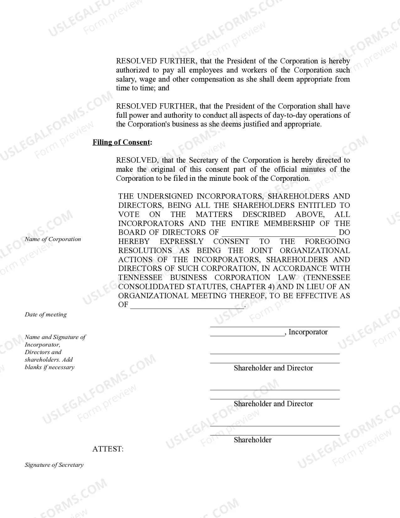 Preview Organizational Minutes for a Tennessee Professional Corporation