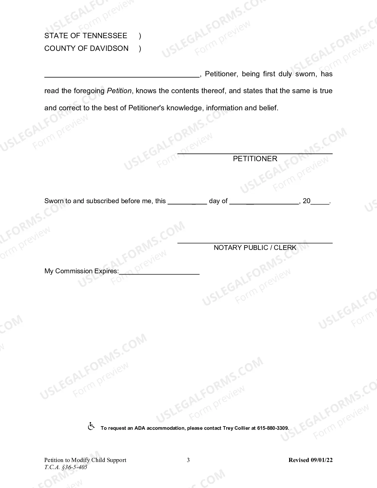 Preview Petition to Modify Child Support