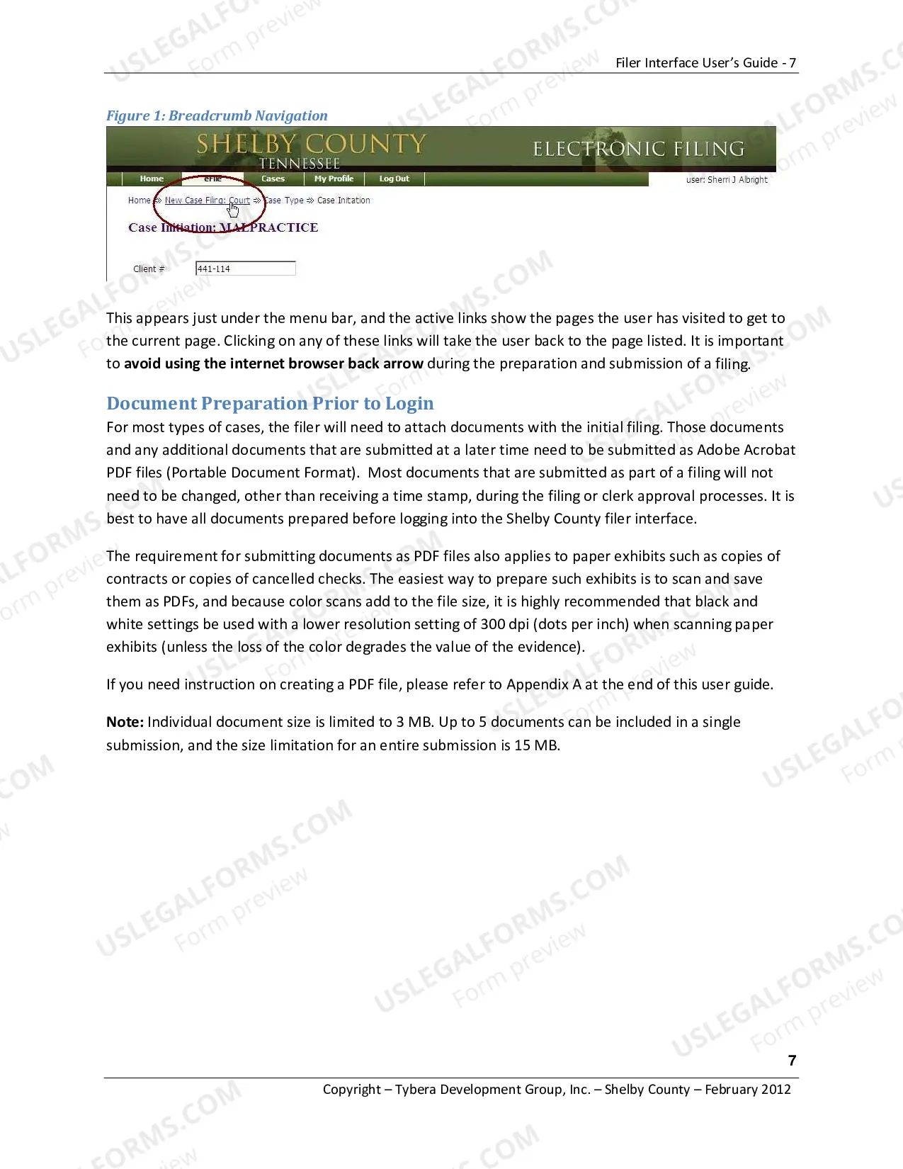 Preview E-Filing Filer's Guide / Circuit and Chancery
