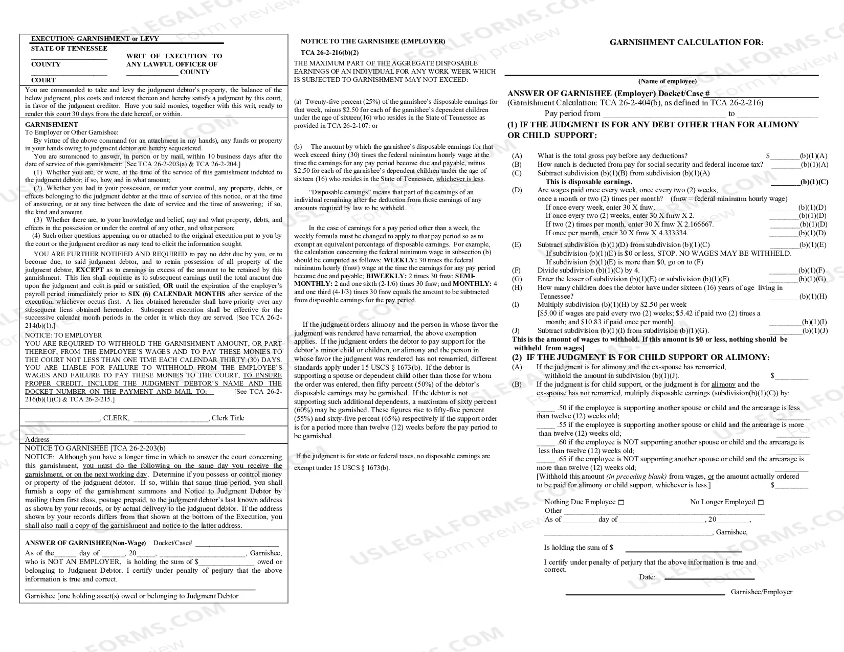 Preview Execution/Garnishment