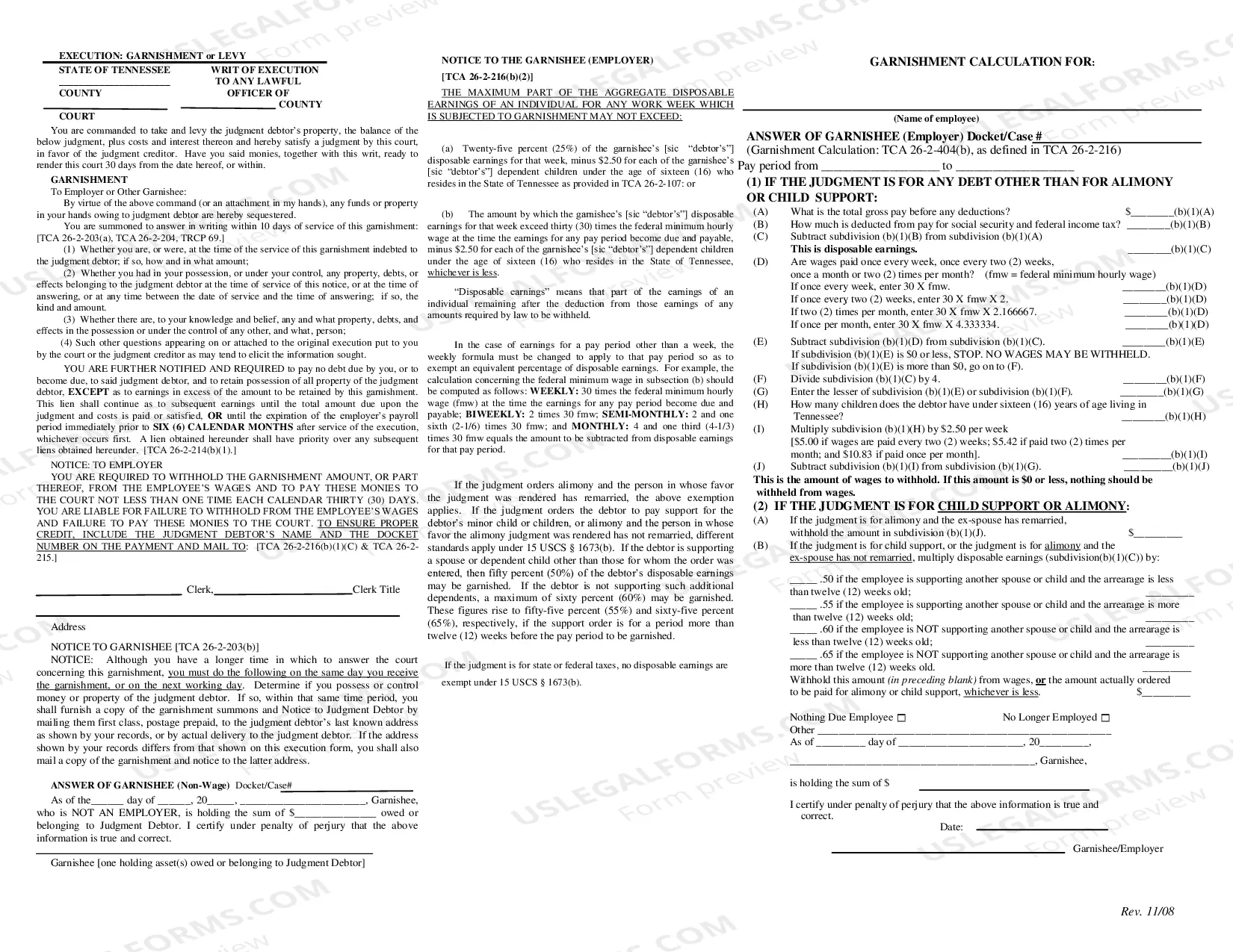 Preview Execution Garnishment