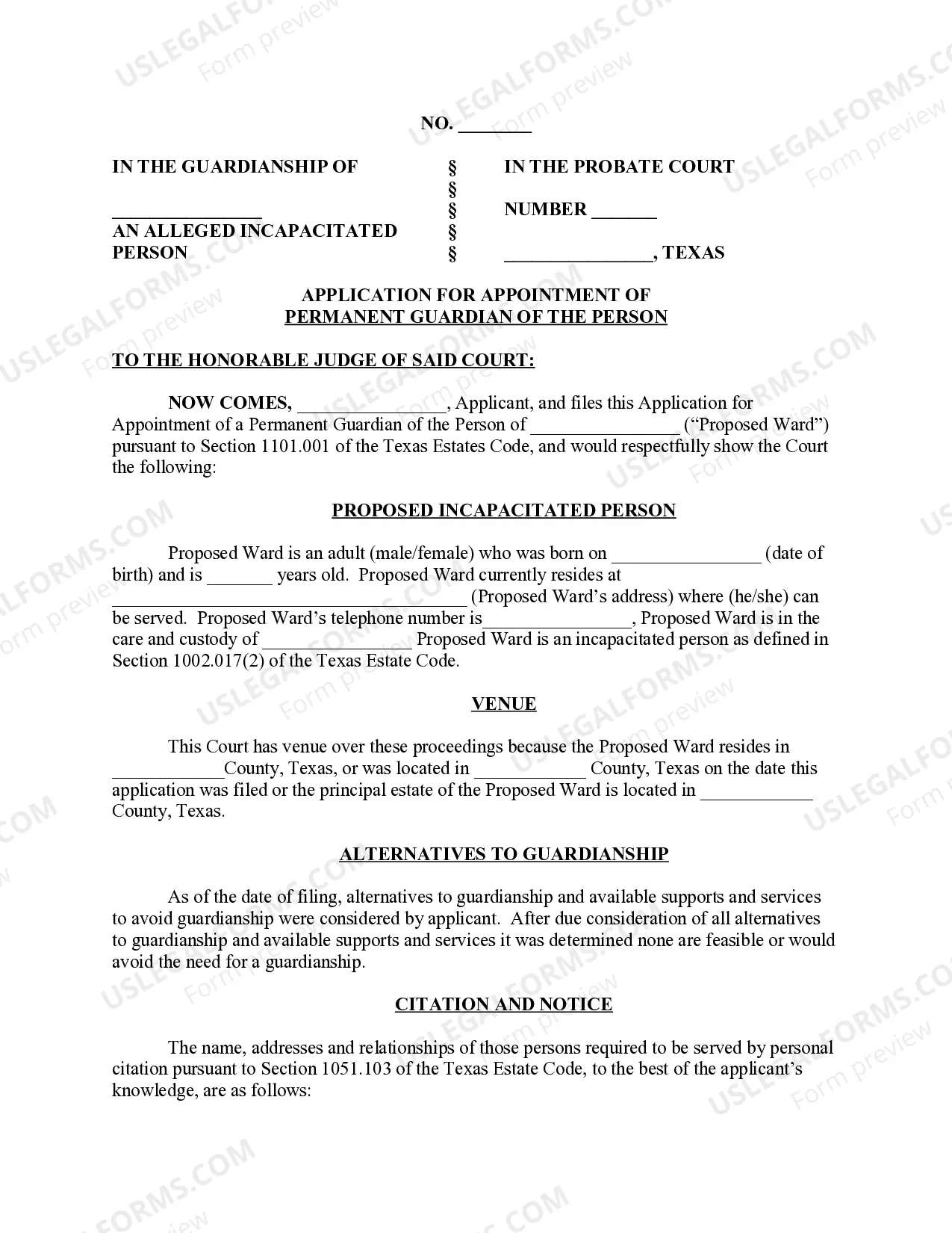 Preview Application for Appointment of Permanent Guardian of the Person