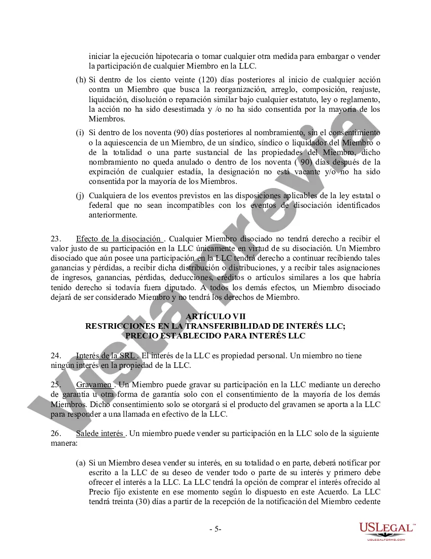 Preview Acuerdo de empresa LLC de responsabilidad limitada de un solo miembro