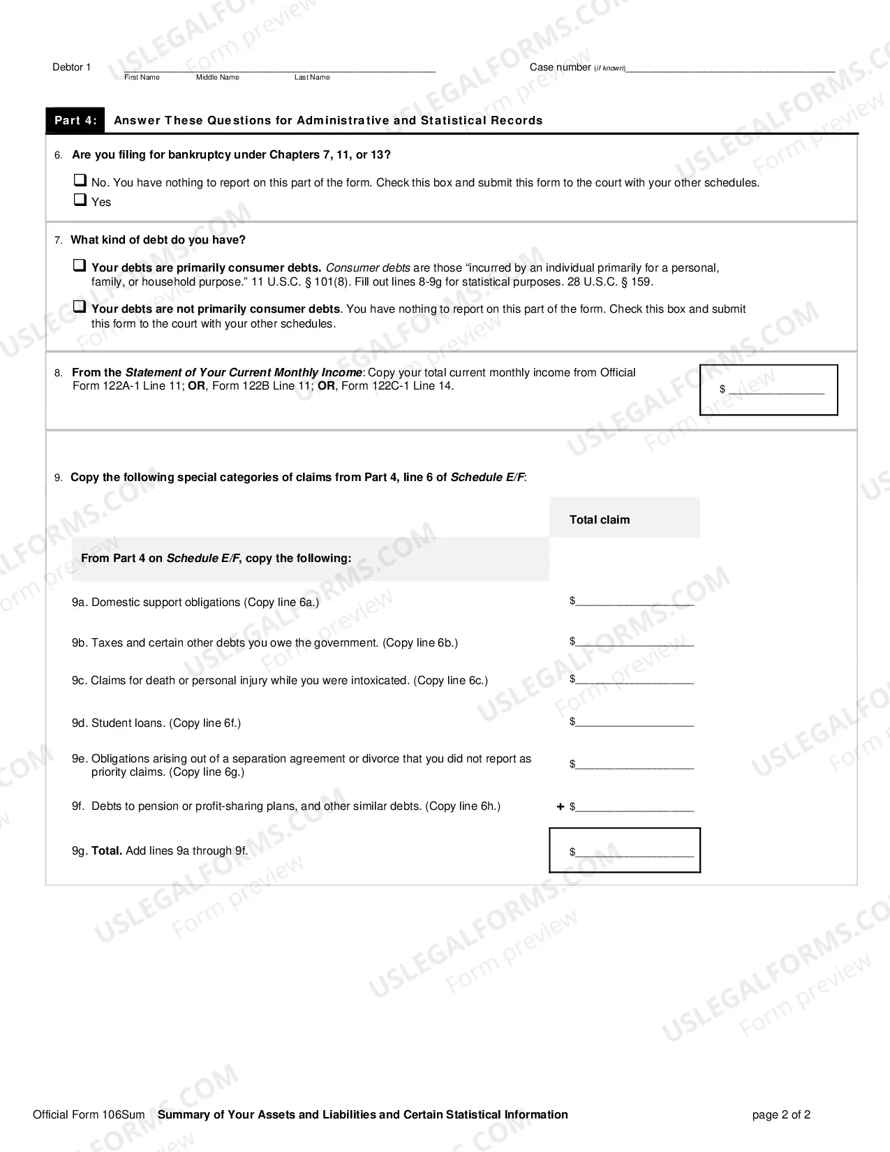 Preview A Summary of Your Assets and Liabilities and Certain Statistical Information (individuals)