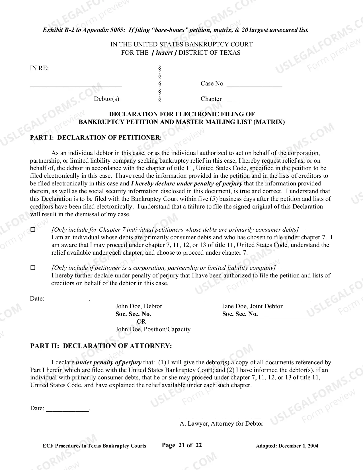 Preview Declaration for Electronic Filing and Statement of Social Security Number