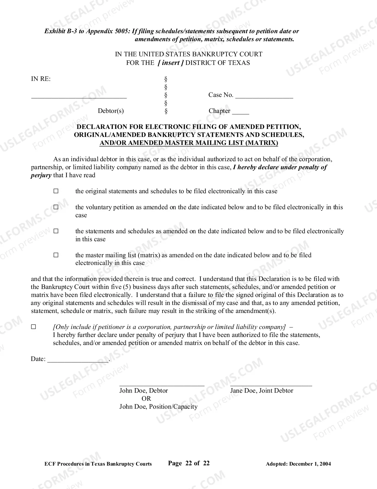 Preview Declaration for Electronic Filing and Statement of Social Security Number