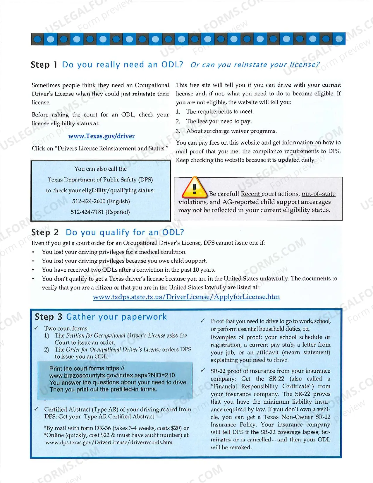 Preview Occupational Driver's License Information