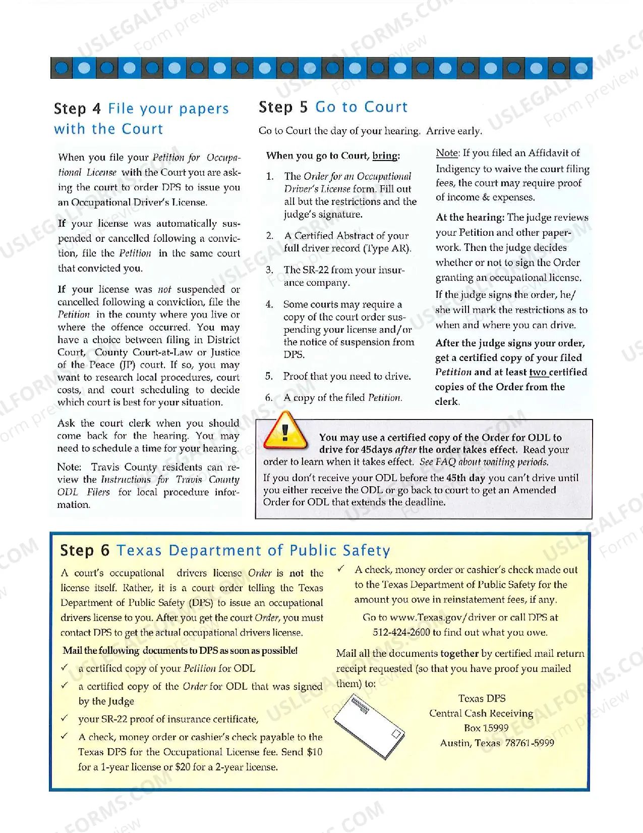 Preview Occupational Driver's License Information
