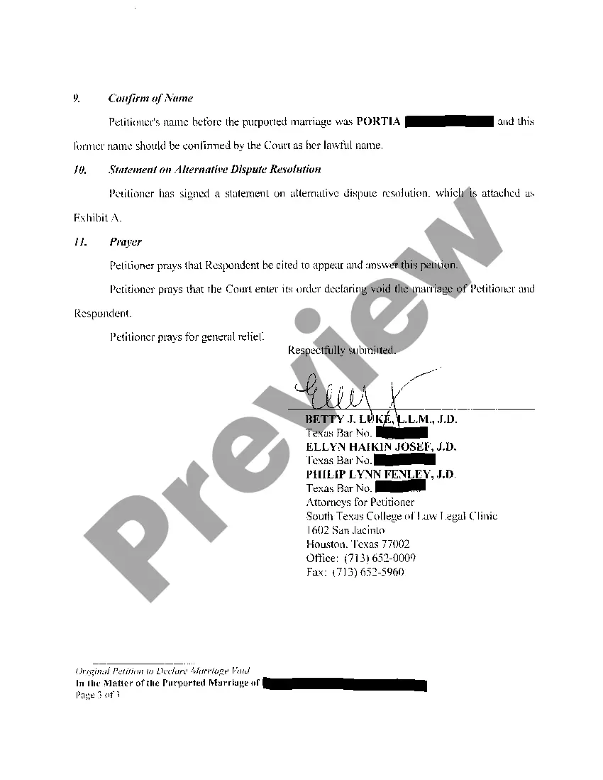 Preview A01 Original Petition to Declare Marriage Void