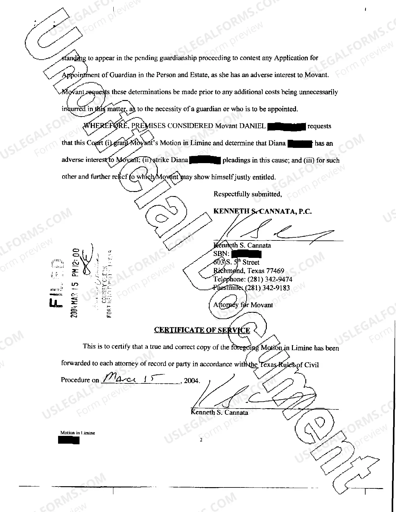 Preview A13 Motion in Limine