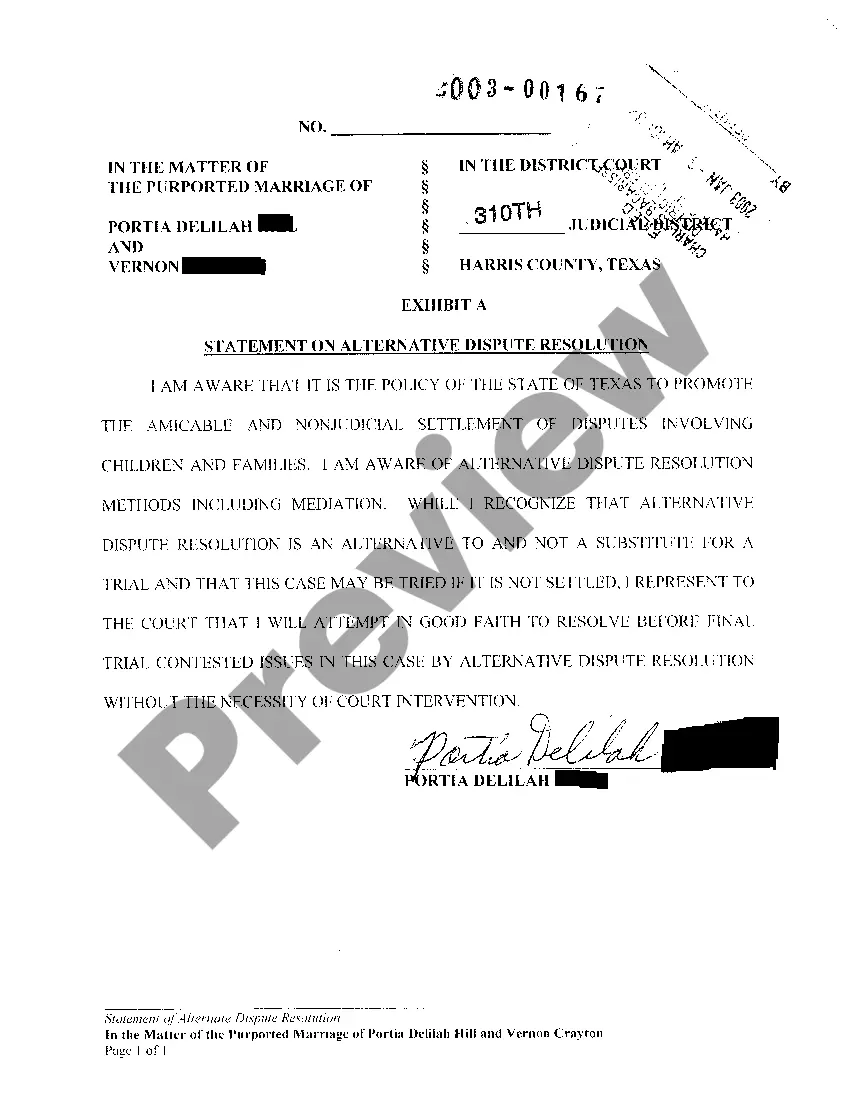 Preview A01 Original Petition To Declare Marriage Void