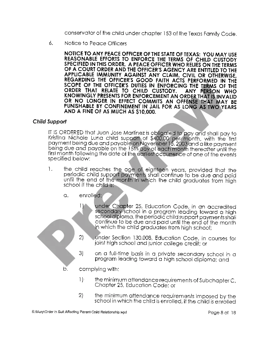 Preview A08 Order in Suit Affecting the Parent / Child Relationship