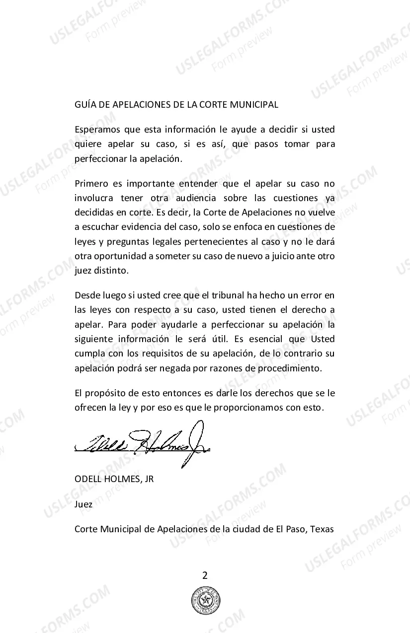 Preview Guia de Apelaciones de la Corte Municipal