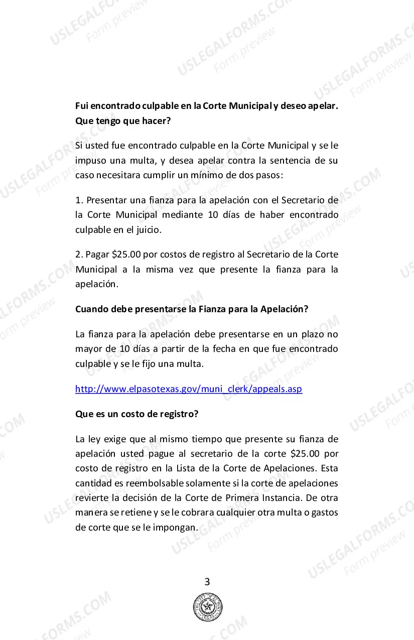 Preview Guia de Apelaciones de la Corte Municipal