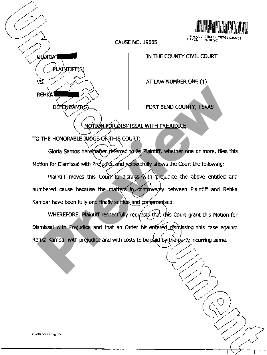 lawsuit motion to dismiss complaint flaws