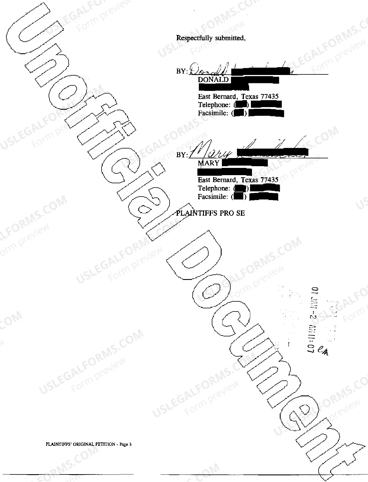 Preview A01 Plaintiff's Original Petition for Guardianship