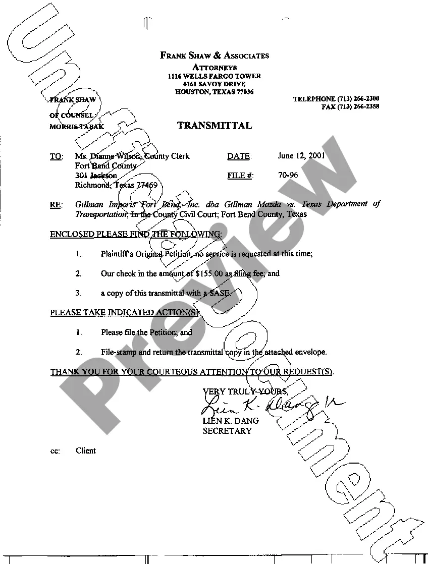 Preview A01 Original Petition for Permanent Injunction