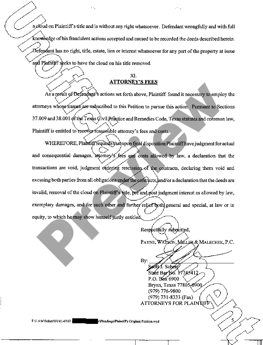 Preview A01 Plaintiff's Original Petition