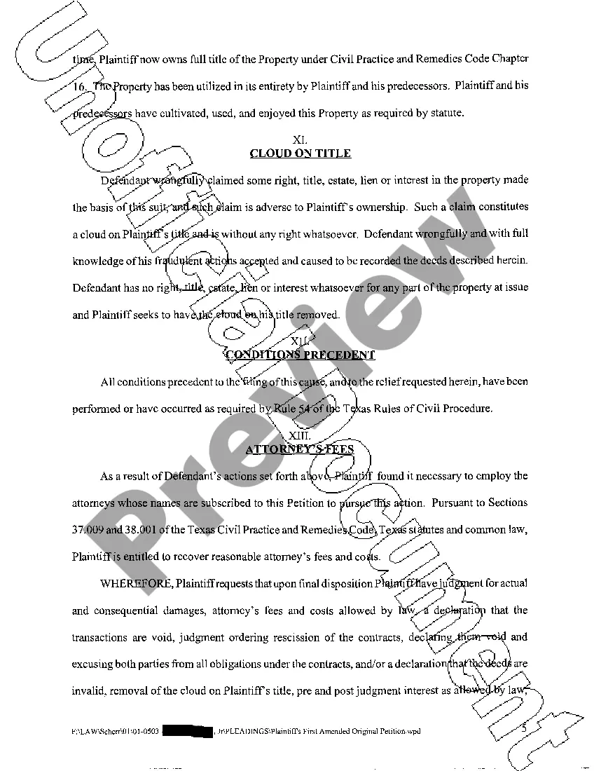Preview A04 Plaintiff's First Amended Original Petition