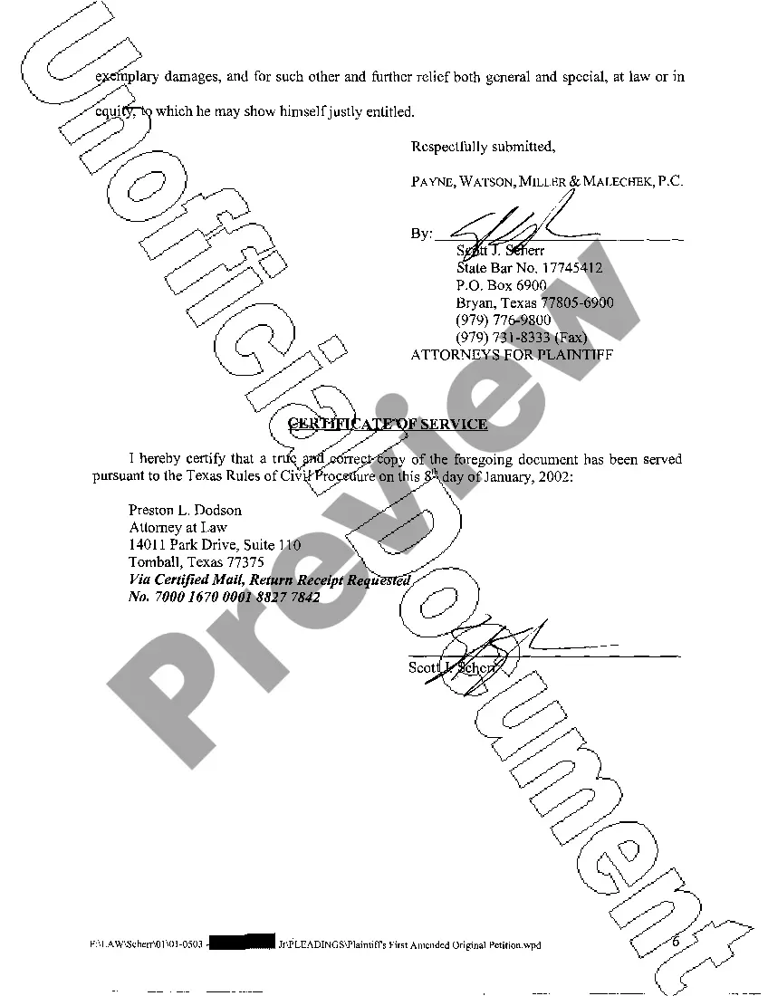 Preview A04 Plaintiff's First Amended Original Petition