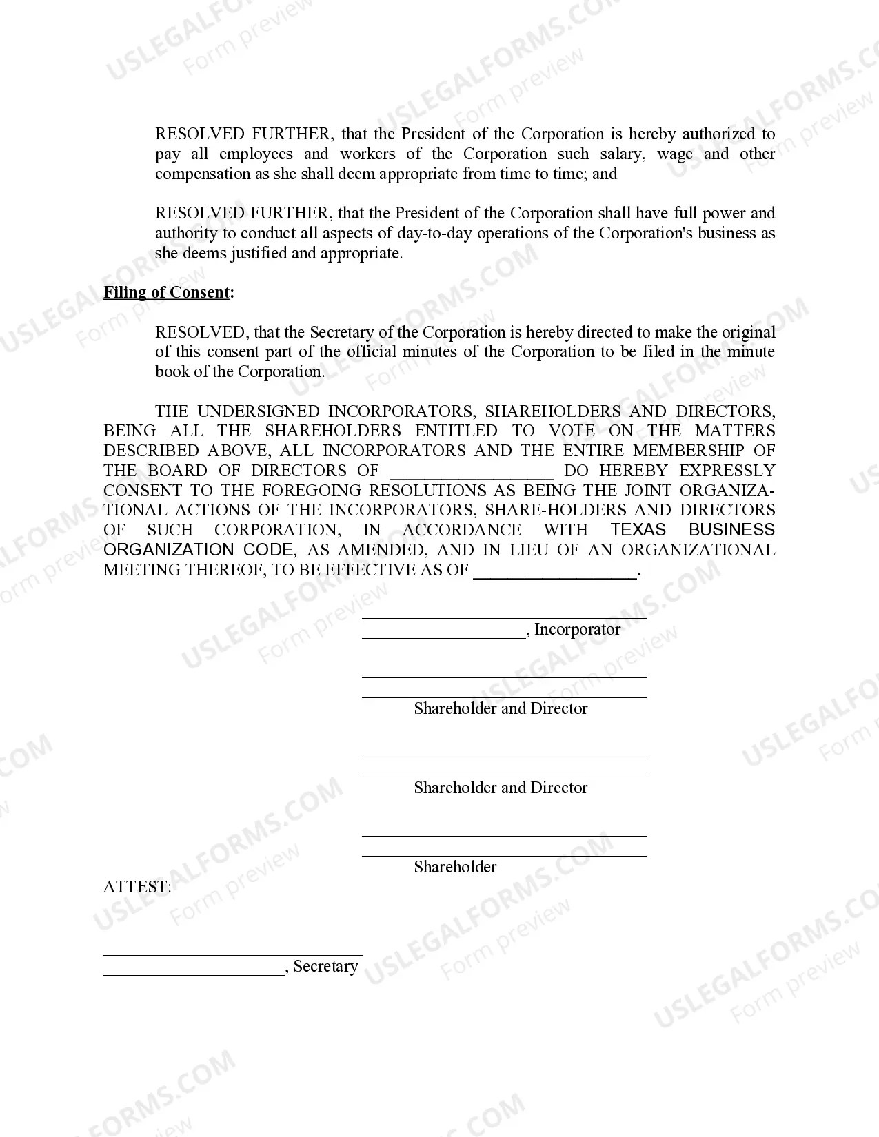 Preview Minutes for Organizational Meeting