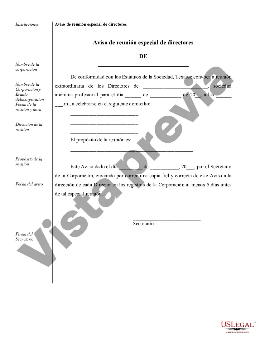 Preview Ejemplos de registros corporativos para una corporación profesional de Texas
