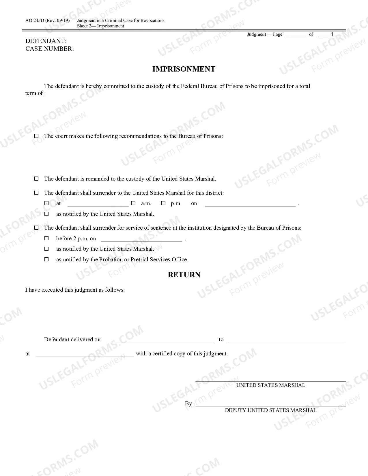 Preview Judgment in a Criminal Case (for Revocation of Probation or Supervised Release)