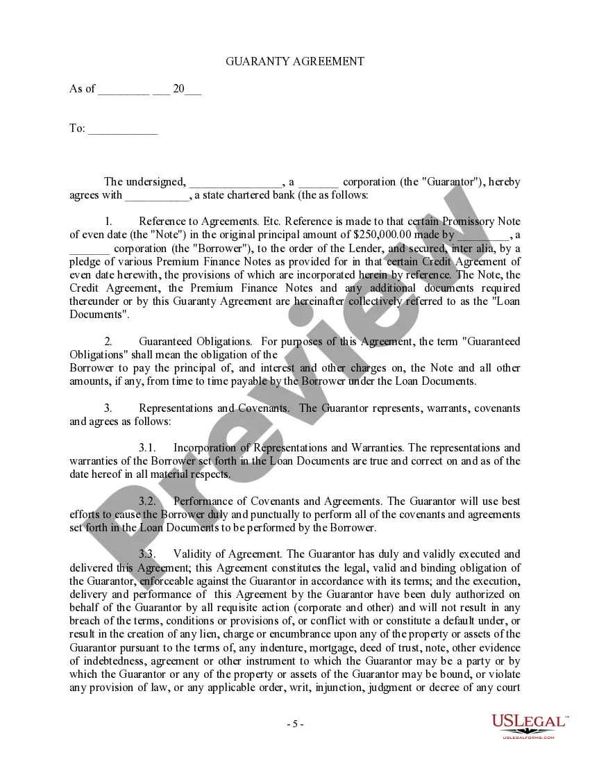 Preview Credit Agreement