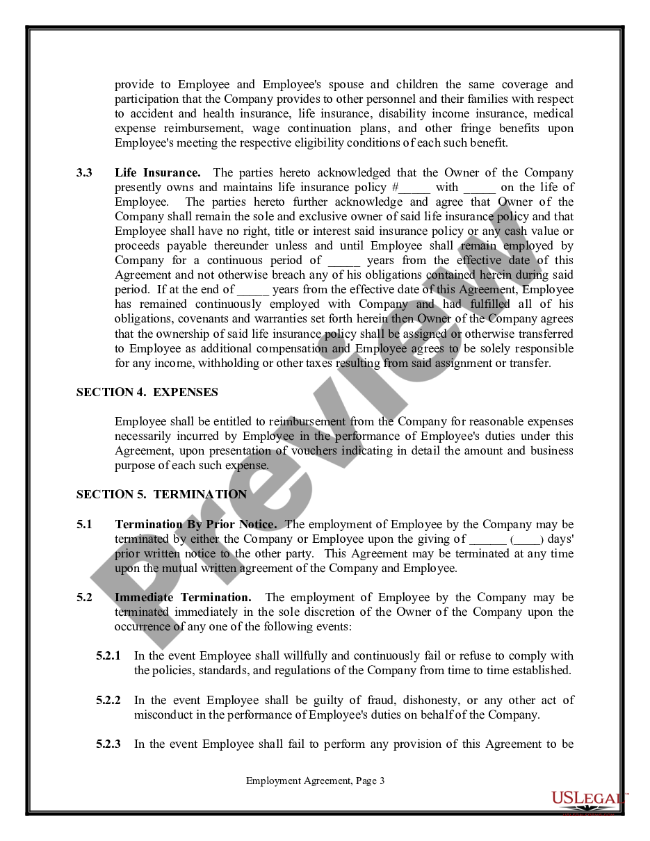 page 2 Employment Agreement - Long Version - Contract preview
