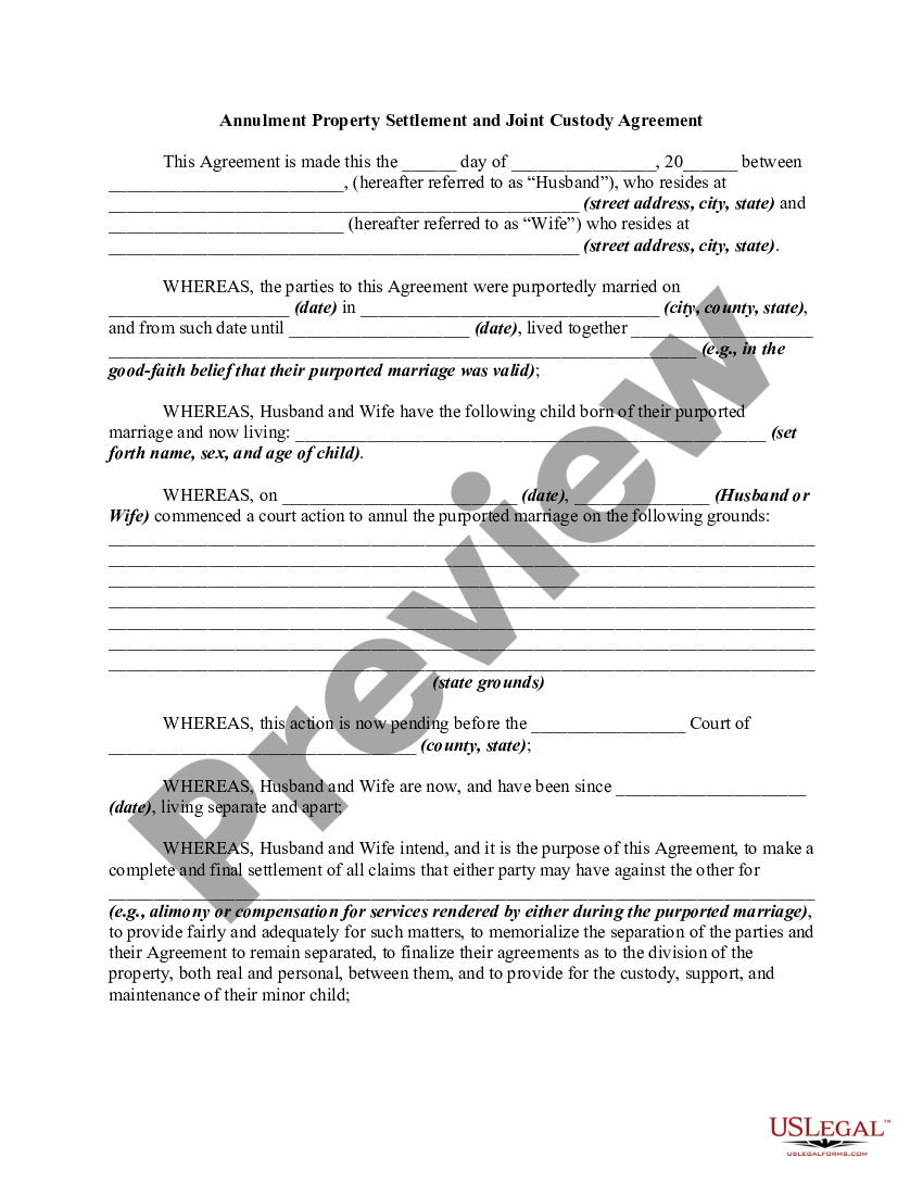 custody annulment agreement