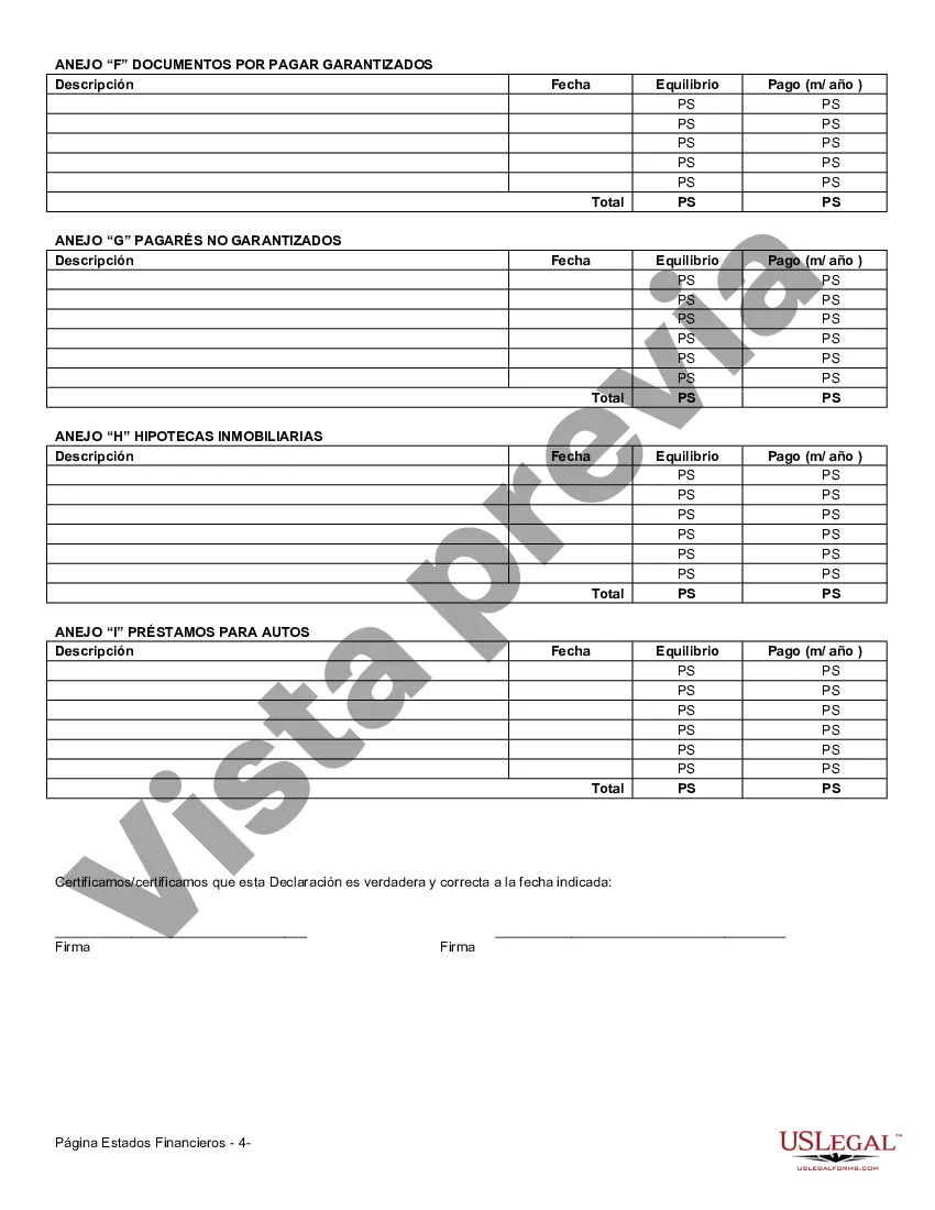 Get Formulario de estado financiero - Uso universal Preview Formulario de estado financiero - Uso universal