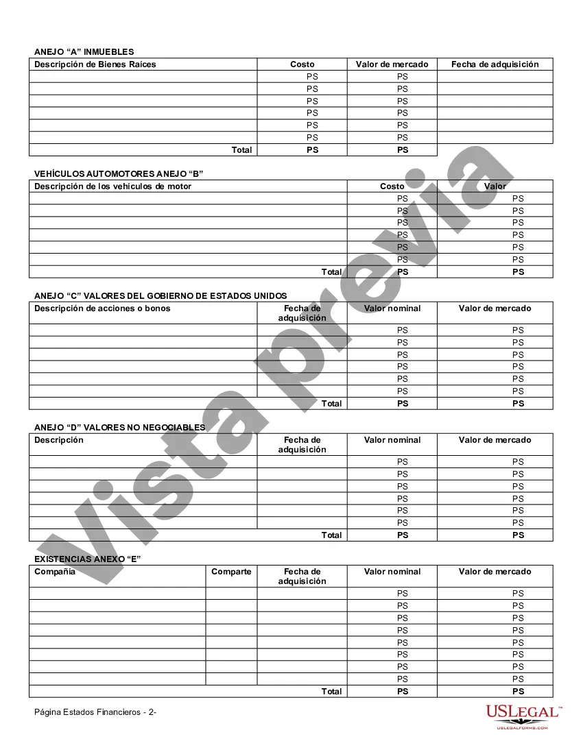 Preview Formulario de Estados Financieros - Individuo