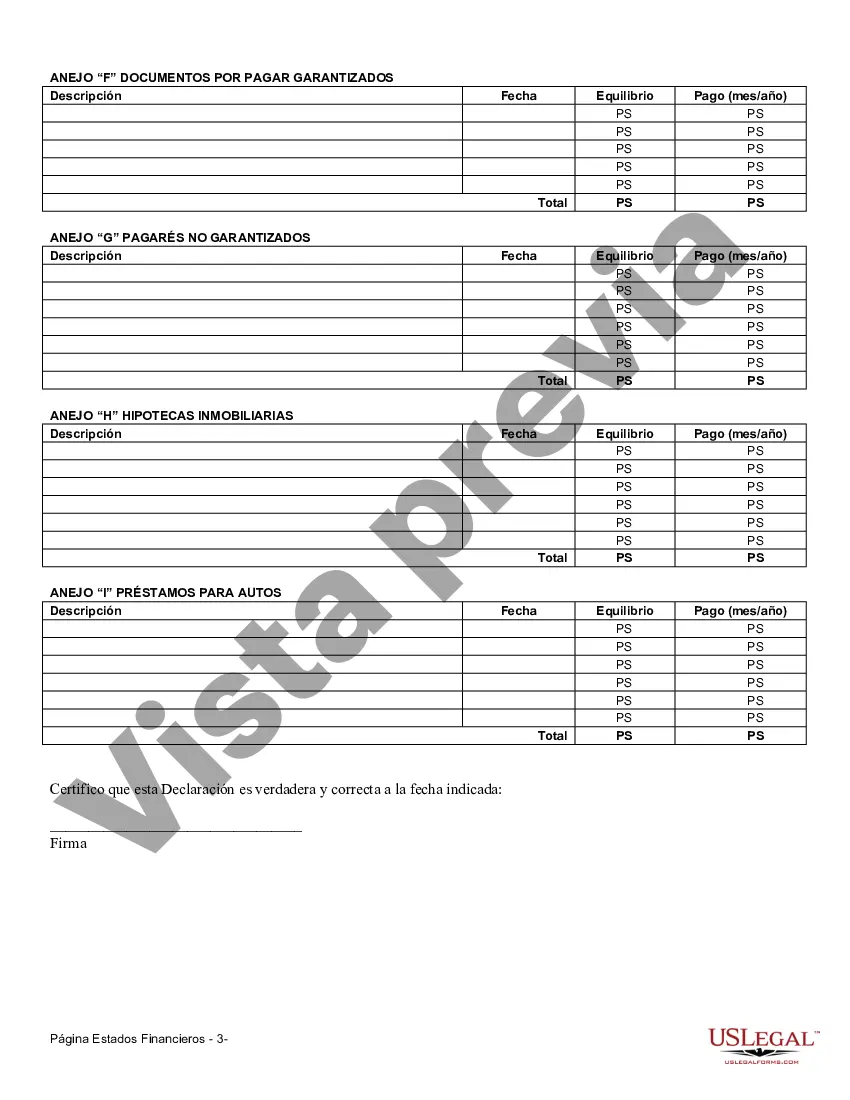 Preview Formulario de Estados Financieros - Individuo