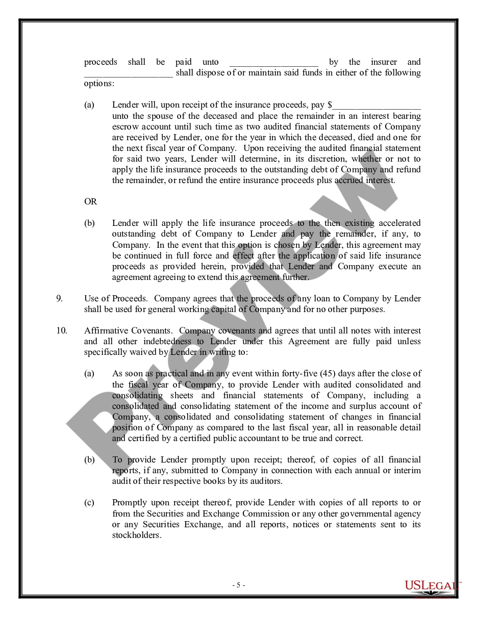 page 4 Loan Agreement - Long Form preview