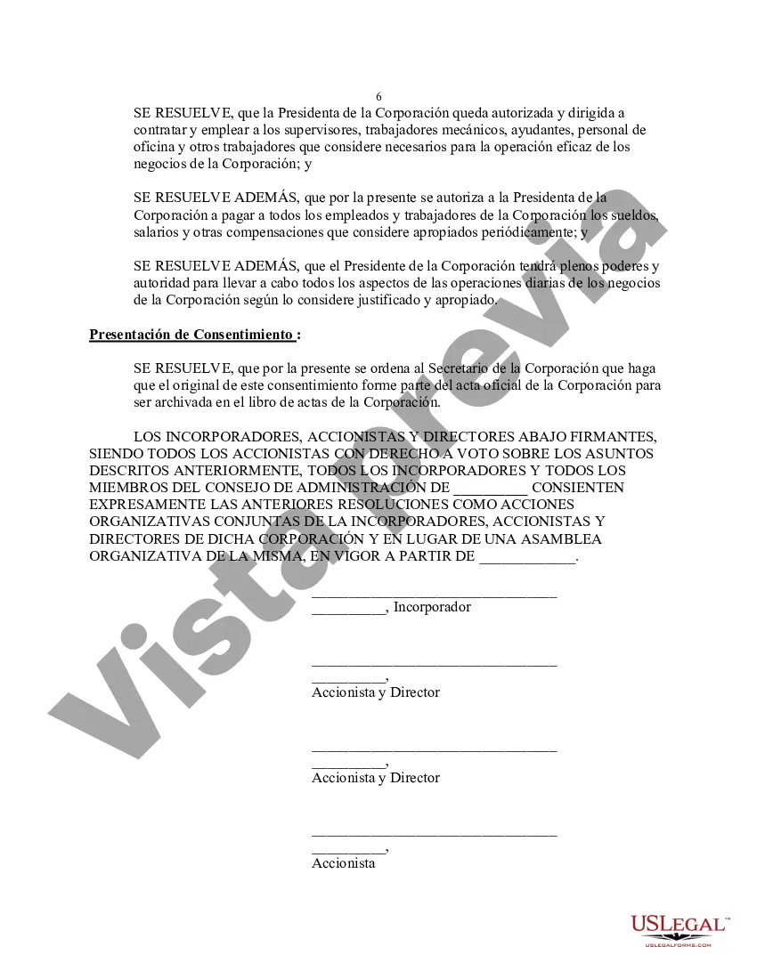 Preview Formulario de Resolución para Sociedad Anónima