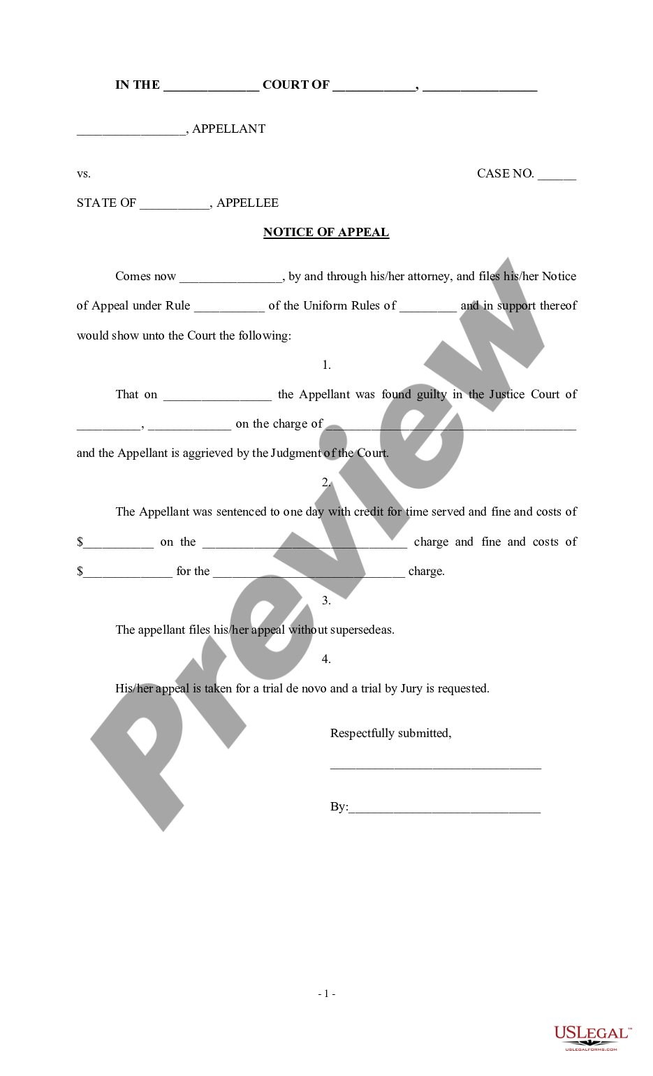 page 0 Notice of Appeal in a Criminal Case preview